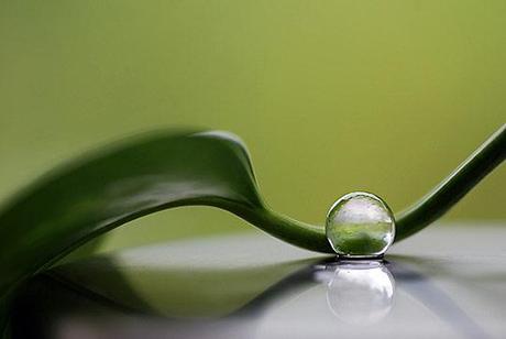 Macro-fotografía