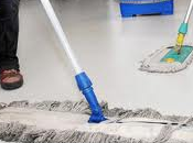 Empleadas empresarios domésticos