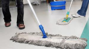 Empleadas y empresarios domésticos