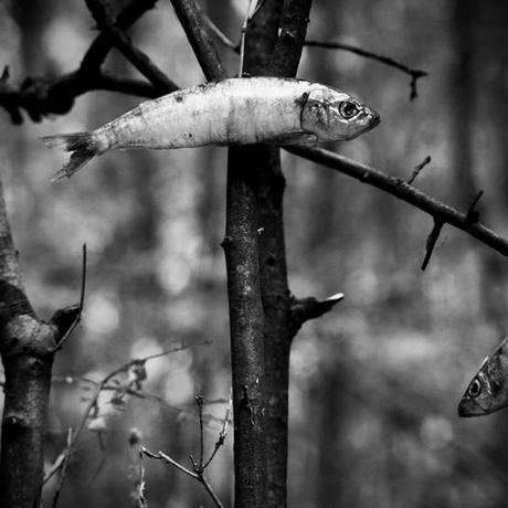 by piet biniek Nietzsche y el cielo anterior; el inconsciente y el rayo