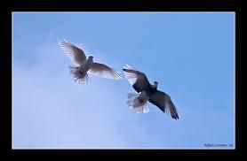 Arriesgar para ser libres…