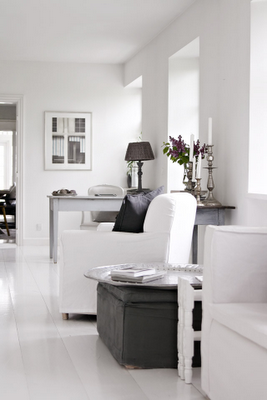 Grises an Ambientes Rusticos