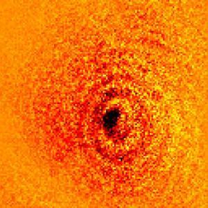 Primera fotografía de la sombra de un átomo