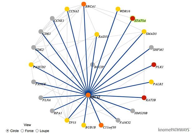 El software de Knome da sentido al genoma.