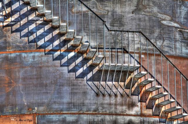 ¿Subes o bajas? ¿Subes o bajas?