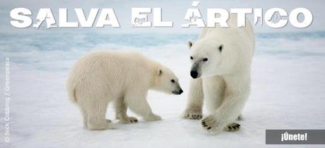 El Ártico en peligro: únete a la campaña de Greenpeace