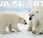 Ártico peligro: únete campaña Greenpeace