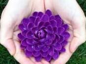 Crea cáscaras pistachos