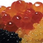 Evitar alimentos ricos en fósforo en el perro enfermo del riñón.