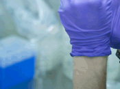 Rapamicina, Milagro Isla Pascua contra Alzheimer?