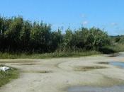 Recetas para encrucijadas