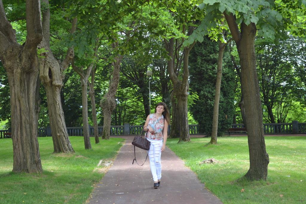 Image Hosted by ImageShack.us