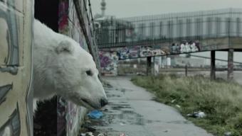 Greenpeace – Homeless Polar Bear :: Salva el Ártico