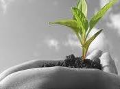 senda crecimiento espiritual