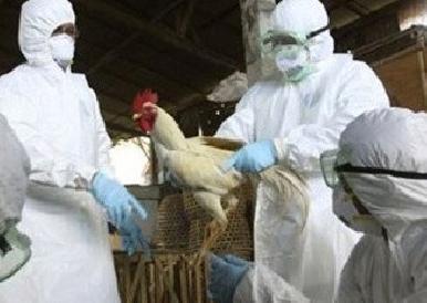 La especulación y alza de precios en huevo y pollo desploma ventas: WUWM