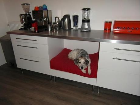 Muebles de Ikea para mascotas