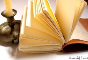 Una forma de resistencia.