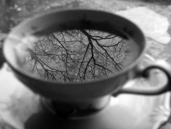 Chocolat empoisonné