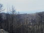 ¿2012, mundo… conocido?