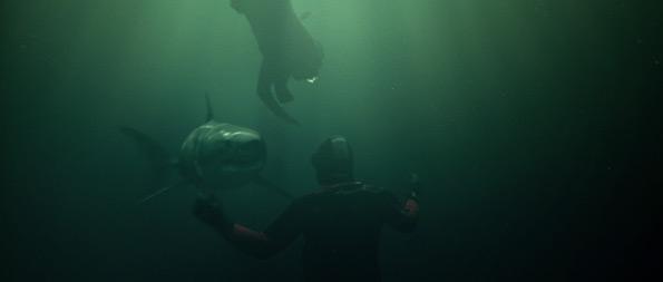 ‘Dark Tide’- Halle Berry nadando entre tibur….nadando en la mediocridad-