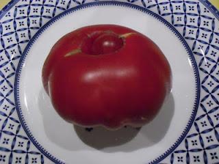 TOMATE MARMANDE CUARENTENO