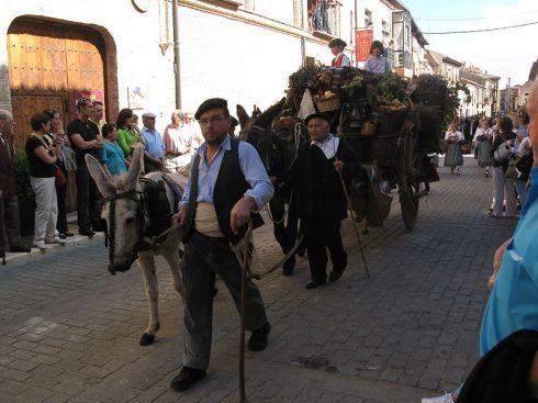 Toro (Zamora)