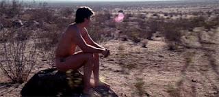 ¿Cómo hemos llegado hasta aquí?