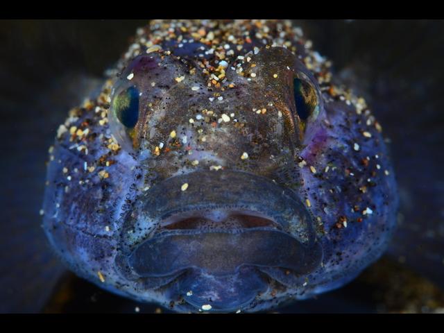 Lanzarote_mar_de_lavas_ObeBlog_03