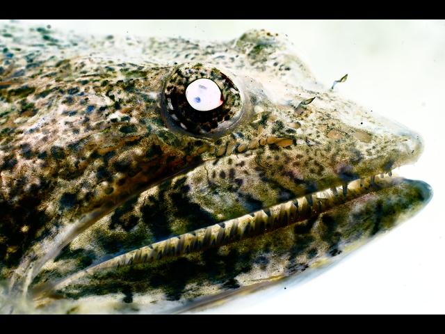 Lanzarote_mar_de_lavas_ObeBlog_02