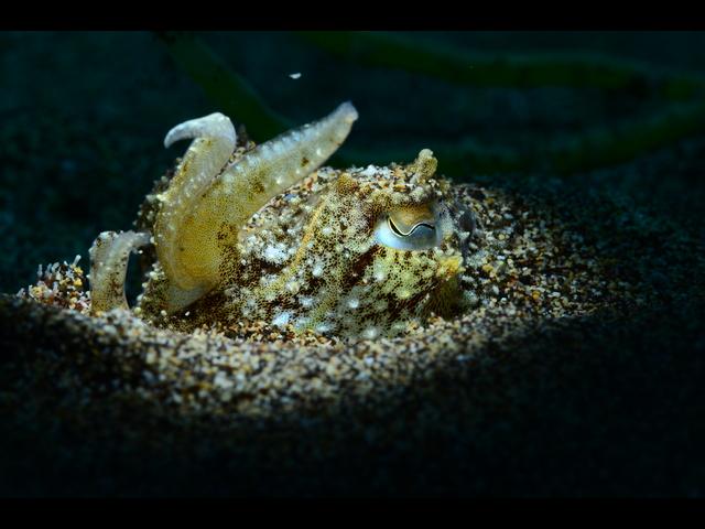 Lanzarote_mar_de_lavas_ObeBlog_01