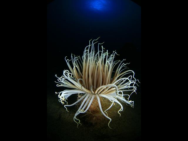 Lanzarote_mar_de_lavas_ObeBlog_05