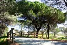 Vía Verde Los Molinos de Agua