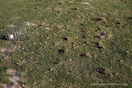 El día que jugamos al golf por primera vez (y otras cosas)