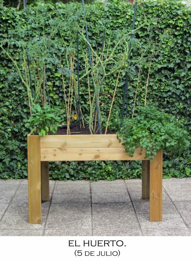 Noticias desde el huerto.