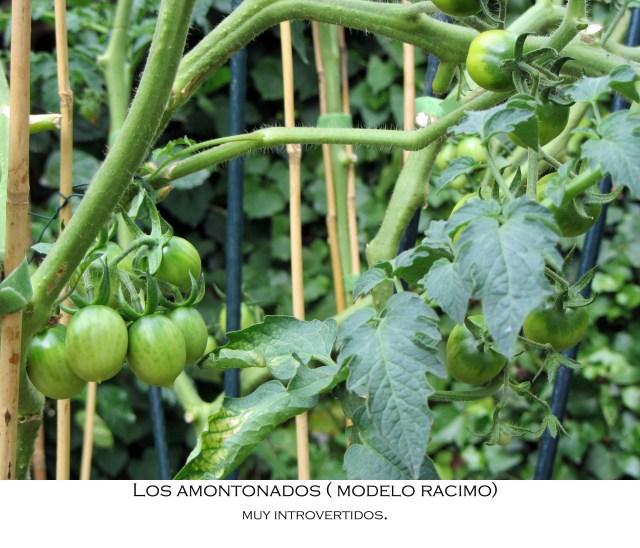 Noticias desde el huerto.