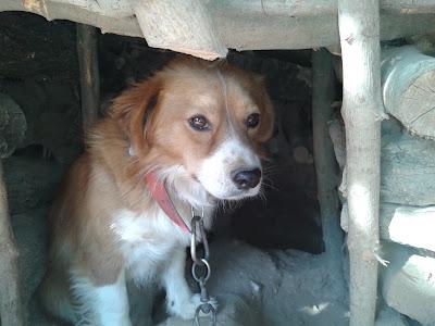 AYUDA URGENTE PARA MATEO!!