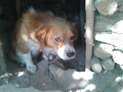 AYUDA URGENTE PARA MATEO!!