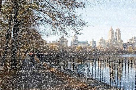 Language of Space Series - Stephanie Lempert