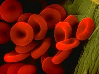 Hemoglobina glucosilada (A1c), Control de Diabetes