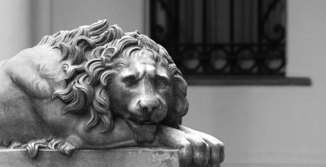 leon que no puede dormir