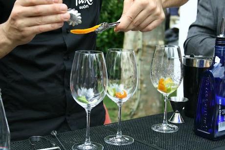 GIN PLANET