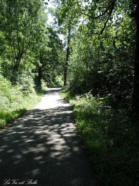 EL CAMINO DE GIJON A COVADONGA