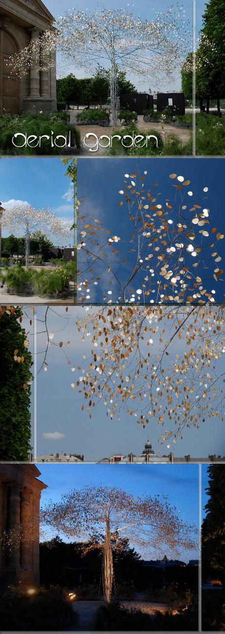 FLECHAZO ROMÁNTICO: EL ESTUDIO CAO | PERROT