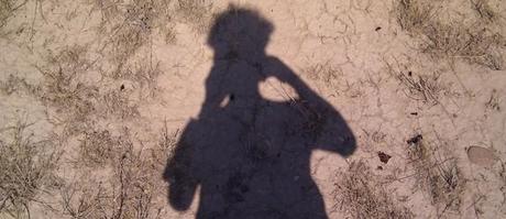 what-is-this-film-called-love-pj-harvey-pone-musica-al-arbol-de-la-vida-del-cine