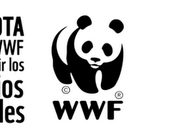 Publicidad responsables