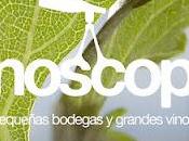 Vinoscopio cata