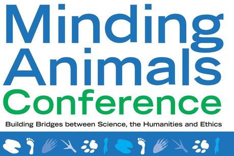 169601_392896324099862_1511996136_o