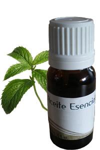 Aceite Esencial de Menta: Beneficios