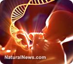 Investigadores americanos crean 30 bebés humanos genéticamente modificados