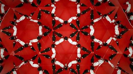 trecool-the-power-of-x-TedxSummit TEDxSUMMIT - The Power of X